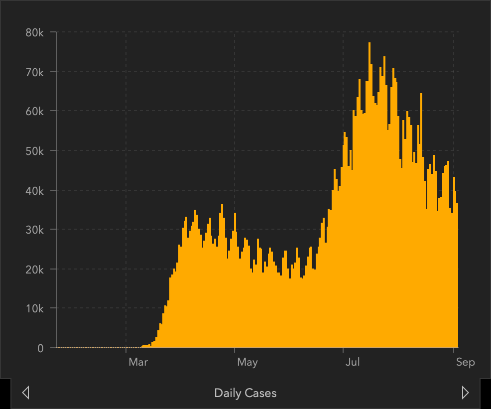 Graph: Daily COVID-19 Case Counts in the US