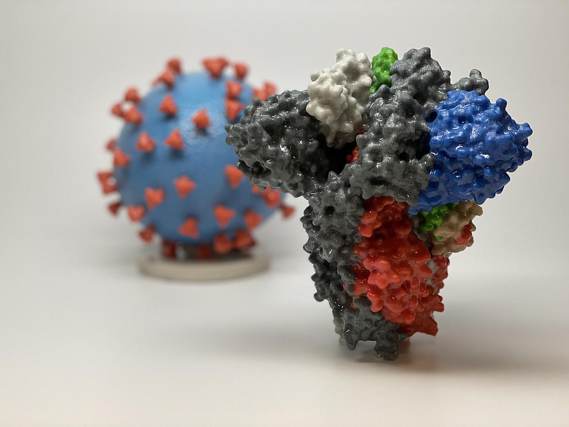 A 3D print of the COVID-19 spike protein.