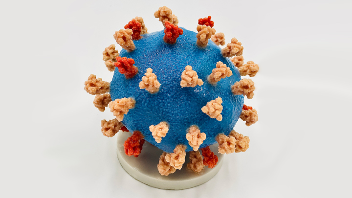 3D print of the COVID virus.