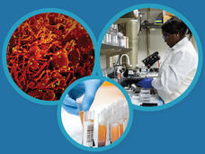 National Cancer Institute COVID-19 research.