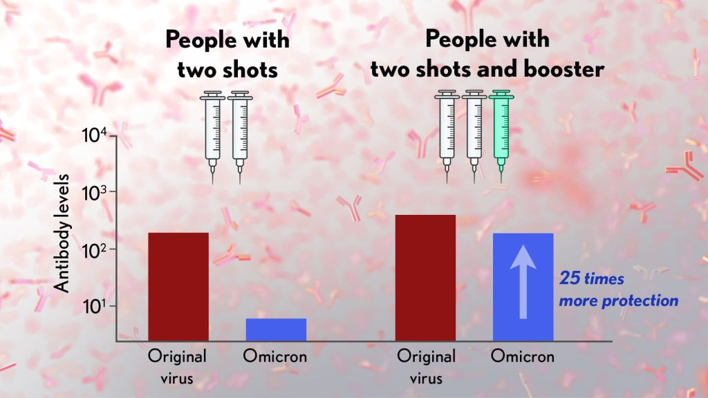 A chart showing levels of protection provided by vaccination against the COVID-19 Omicron variant.