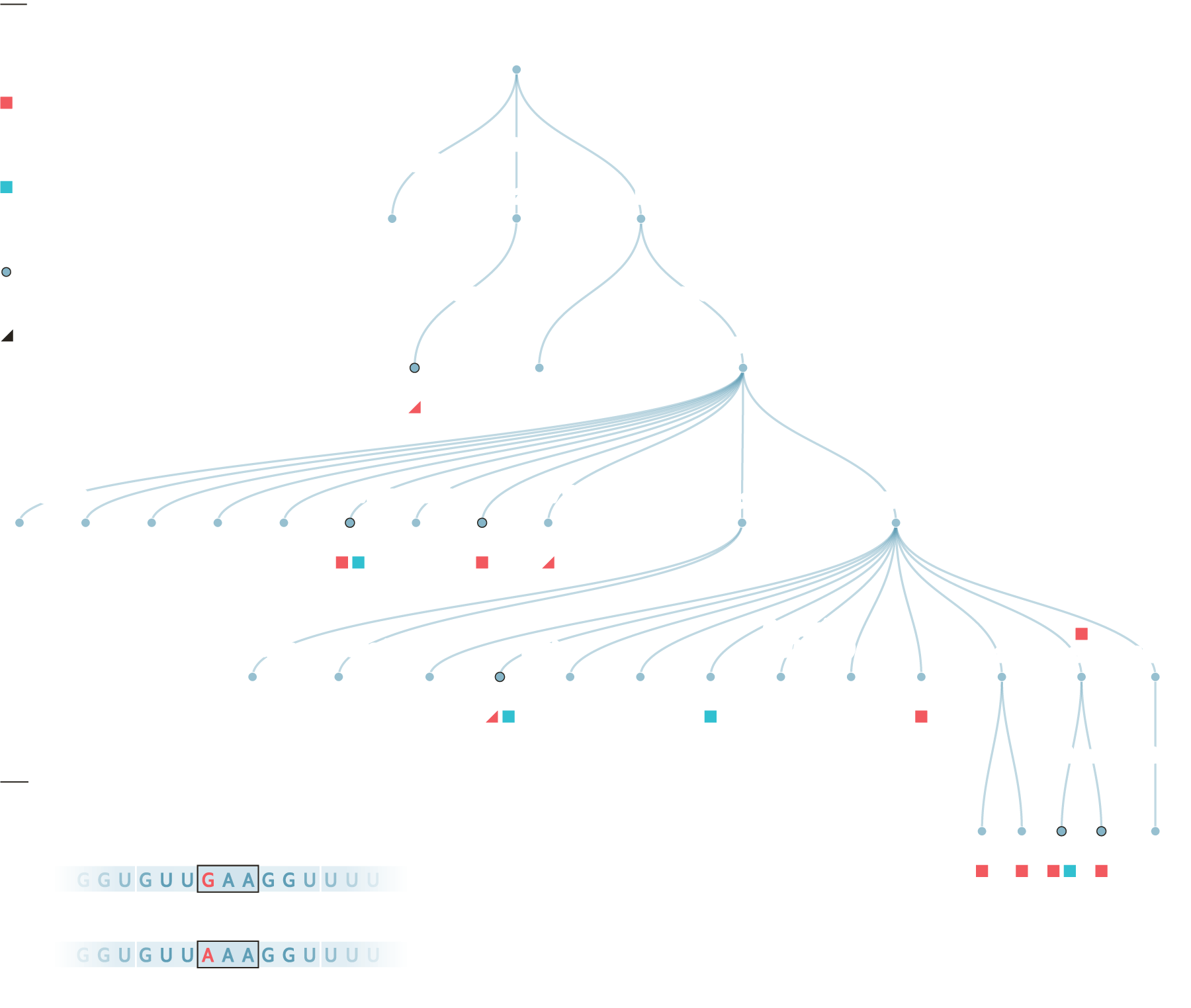 A graph of COVID-19 mutations.