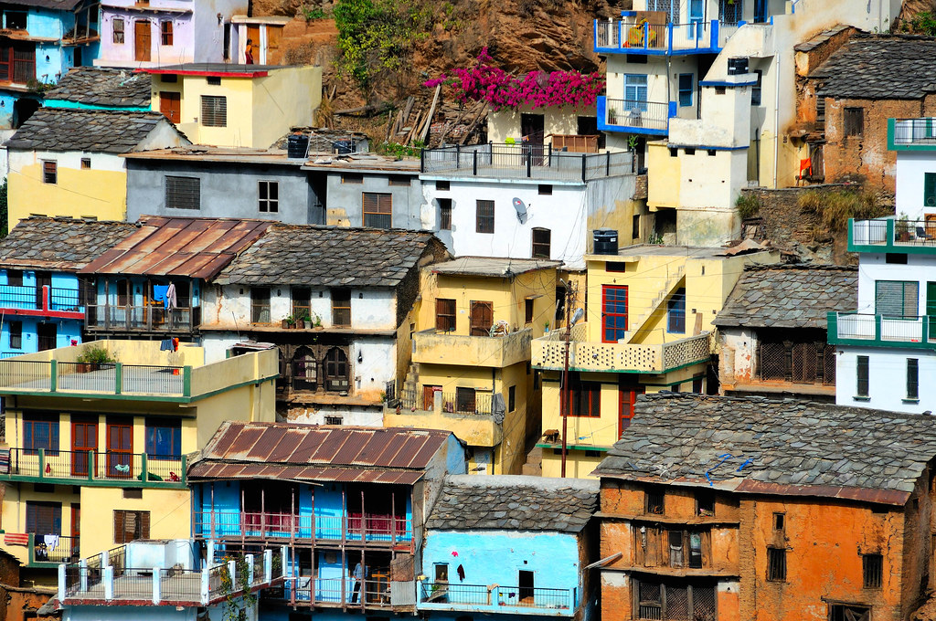 Houses in a neighborhood.
