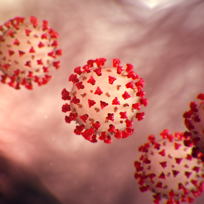 An illustrations of several coronavirus particles.