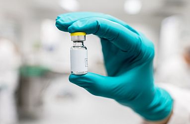 A gloved hand holding a vaccine bottle.