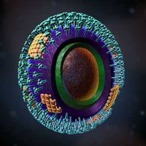 An illustration of the influenza virus micro-organism. 