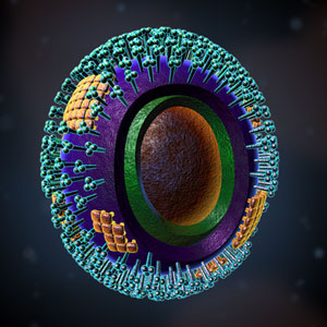 Influenza Virus An illustration of the influenza virus micro-organism.