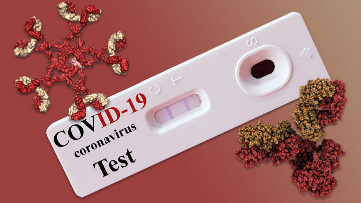 Illustration of Two Antibodies with Photo of COVID-19 Test Cartridge