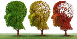 course introduction page image: Alzheimer’s and Related Dementias