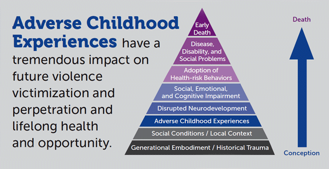 Chart: Adverse Childhood Experiences have a tremendous impact...