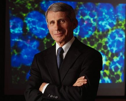 A photo of Anthony Fauci.