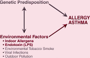 Relationship Between Genetics, Environmental Factors, and Asthma