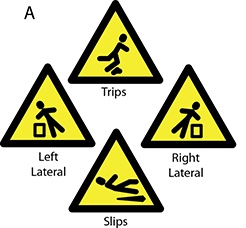 Four different types of simulated falls, positioned according to direction of the fall. 