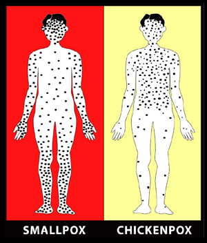 Battlefield on X: Members of Unit 86 Your body and mind have been honed into a biological weapon. You survived everything Boreas could inflict on you. It's time to strike back with