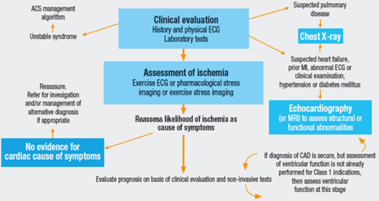 Algorithm for the initial evaluation of patients with clinical symptoms of angina. 