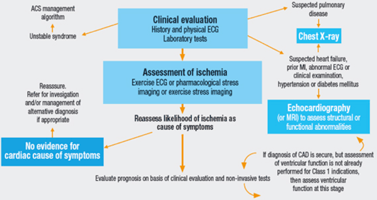 Cardiac Disease Imaging Algorithm Algorithm for the initial evaluation of patients with clinical symptoms of angina.