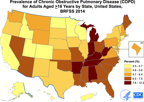 COPD Prevalence by State A map showing the prevalence of COPD by state.