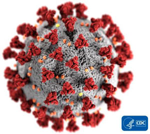 A model of the COVID-19 virus.