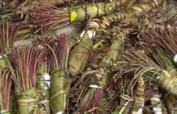 Bundles of khat.