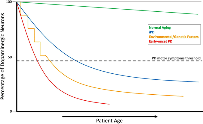 graph showing decline of dopaminergic neurons during normal aging, in idiopathic PD, in PD caused by environmental or genetic factors, and in early-onset PD graph showing decline of dopaminergic neurons during normal aging, in idiopathic PD, in PD caused by environmental or genetic factors, and in early-onset PD