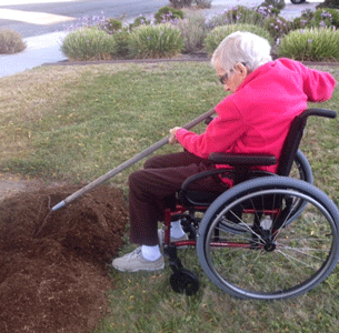 Image: helping with gardening