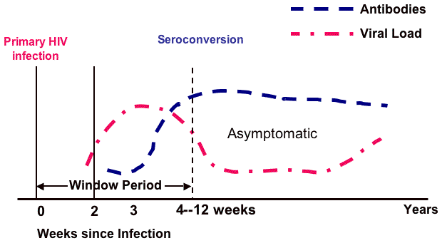 A graph illustrating the natural course of untreated HIV infection.