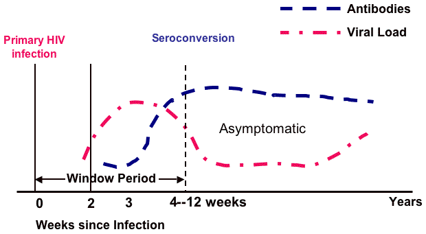 Een grafiek die het natuurlijk beloop van onbehandelde HIV-infectie illustreert.