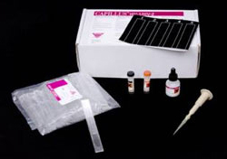 A photo of an HIV rapid test kit.