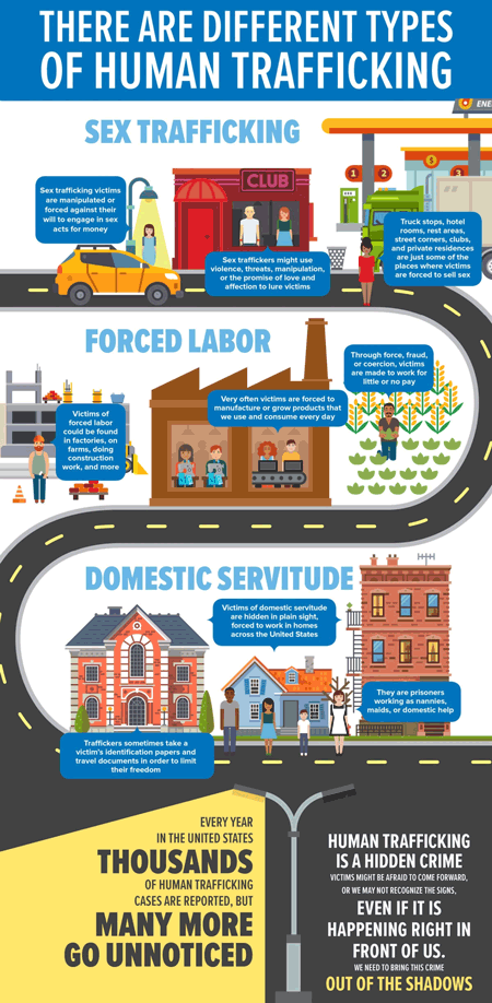 A graphic illustrating the different types of human trafficking.