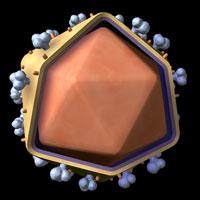 An illustration of the HIV retrovirus.