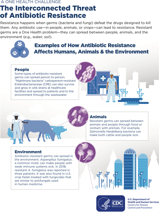 CDC Poster: The Interconnected Threat of Antibiotic Resistance