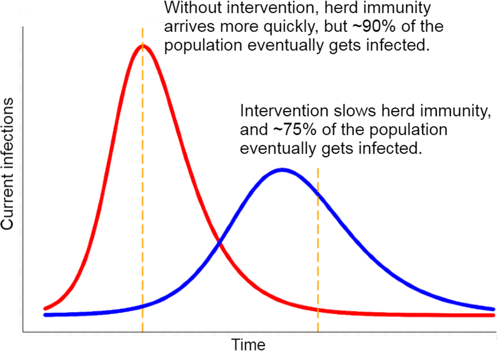 Chart: How Interventions Affect Herd Immunity