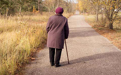 Image: Photo of Older Woman Wandering on a Path
