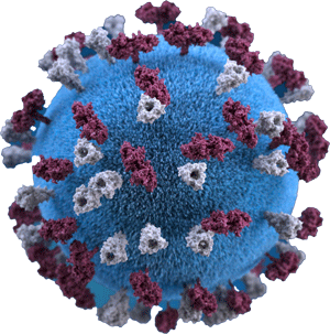 Measles Virus Illustration