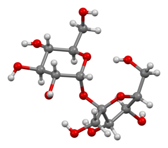 Ball and stick model of a sucrose molecule.