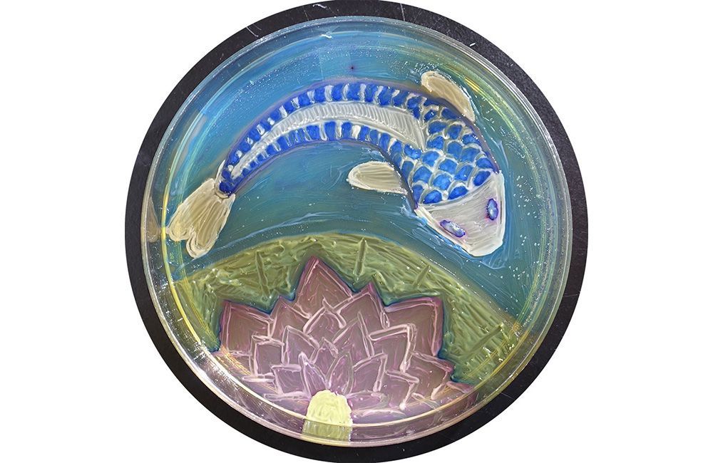 A drawing of a koi carp using microbes on a agar dish.