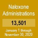 New Jersey Statistic: Naloxone Administrations