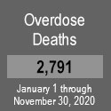 New Jersey Statistic: Overdose Deaths