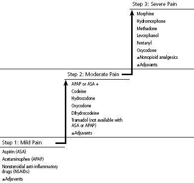 World Health Organization Analgesic Ladder