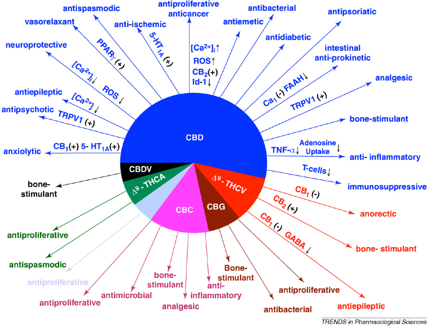 Chart: Pharmacologic Actions of Non-psychotropic Cannabinoids