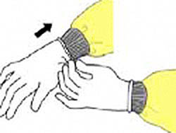 Illustration: Donning Gloves Illustration: Donning Gloves
