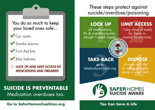 two posters promoting safe storage of potentially lethal materials