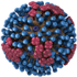 Image of Flu Virus. Source: CDC.