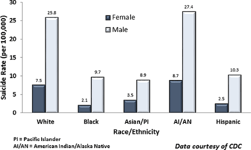 chart of US suicide rates by race/ethnicity (2014)