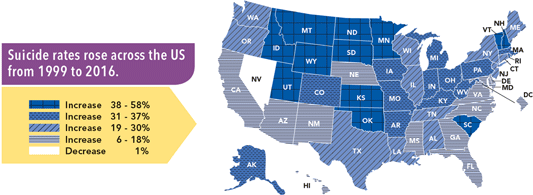 image: suicide rates infographic