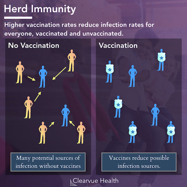Herd Immunity - Higher vaccination rates reduce infection rates for everyone. Many potential sources of infection without vaccine; vaccines reduce possible infection sources.